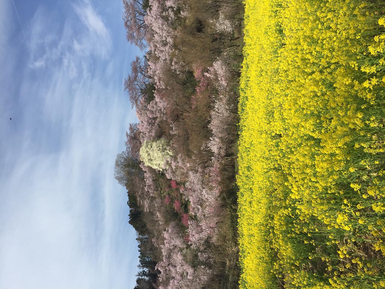 Hotel Sunroute Fukushima Zewnętrze zdjęcie